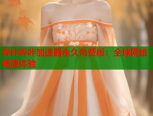哔咔哔咔加速器永久免费版：全球网络畅速体验