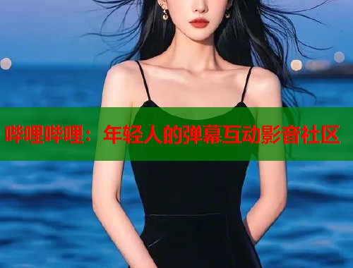 哔哩哔哩：年轻人的弹幕互动影音社区