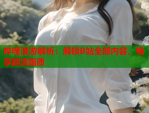 哔哩漫游解析：解锁B站全部内容，畅享超清画质