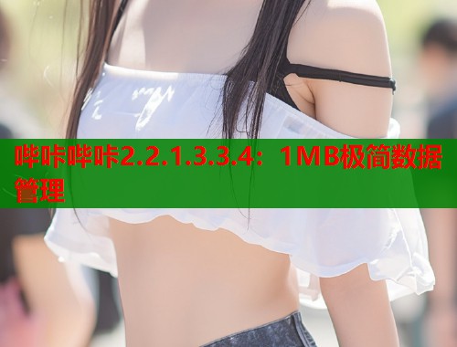 哔咔哔咔2.2.1.3.3.4：1MB极简数据管理