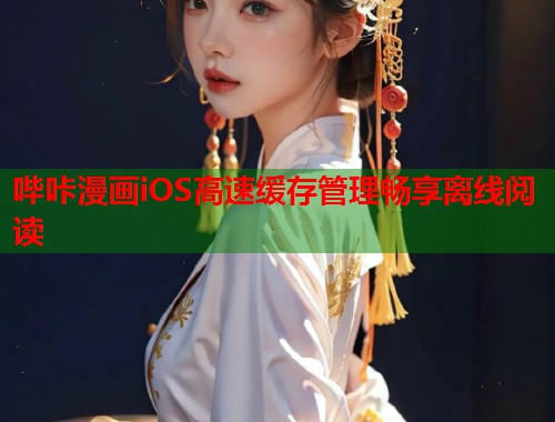 哔咔漫画iOS高速缓存管理畅享离线阅读