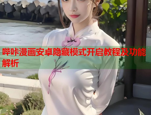 哔咔漫画安卓隐藏模式开启教程及功能解析