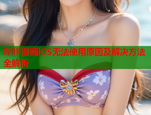 哔咔漫画iOS无法使用原因及解决方法全解析 哔咔漫画iOS无法使用原因及解决方法全解析