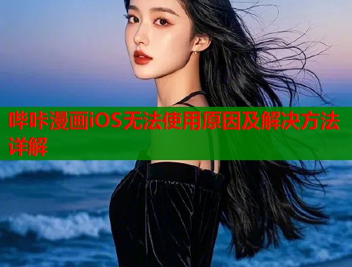 哔咔漫画iOS无法使用原因及解决方法详解 哔咔漫画iOS无法使用原因及解决方法详解