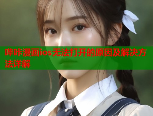 哔咔漫画ios无法打开的原因及解决方法详解 哔咔漫画ios无法打开的原因及解决方法详解