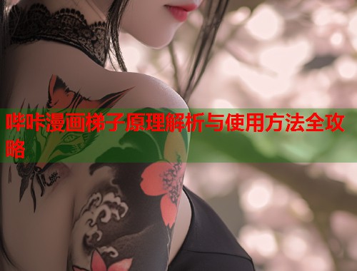 哔咔漫画梯子原理解析与使用方法全攻略